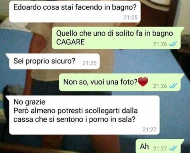 Cosa stai facendo