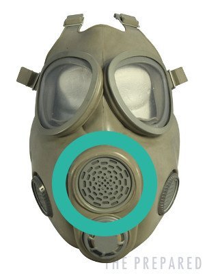 Gask mask thing shot