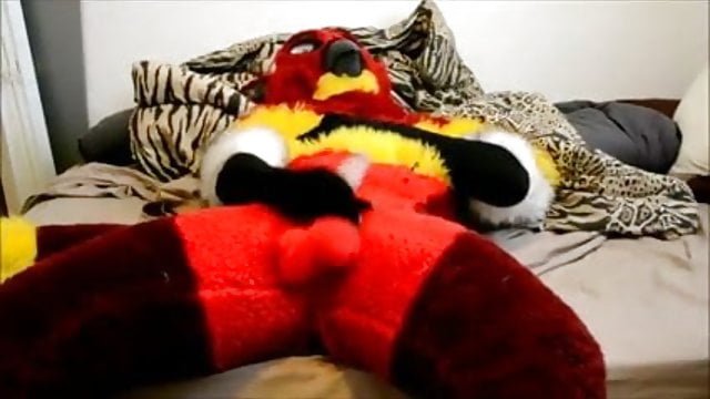 Fursuit masturbation male