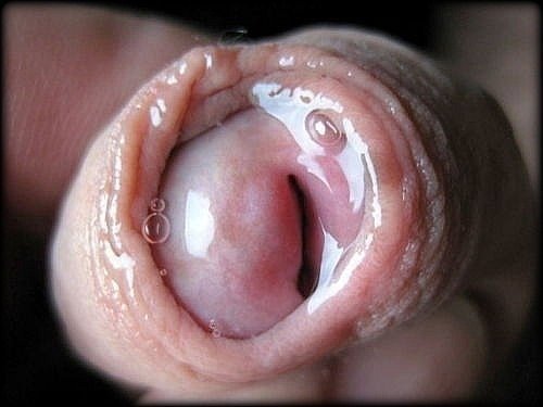 best of Mouth precum