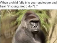 best of Harambe dicks out